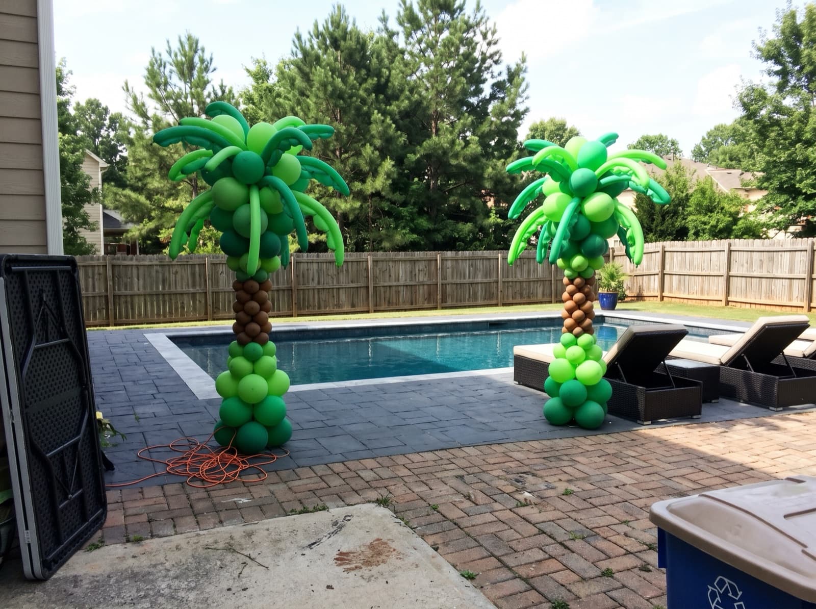 Balloon palm trees beside a pool